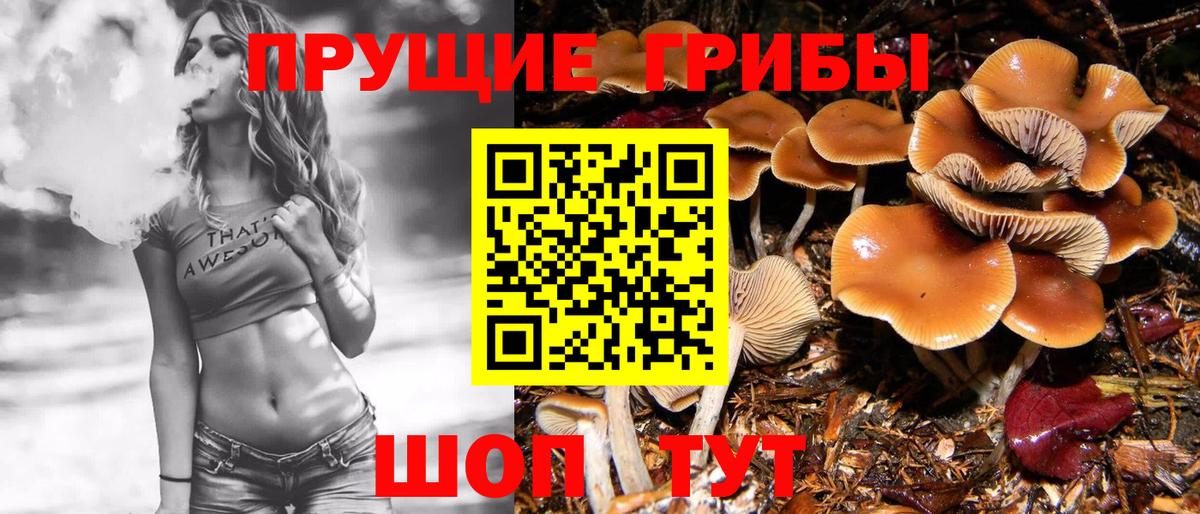 Галлюциногенные грибы GOLDEN TEACHER Ишим