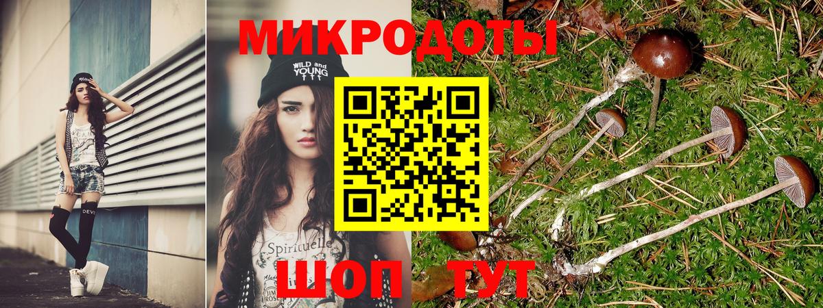 Галлюциногенные грибы Psilocybine cubensis  Вход с VPN  Псилоцибиновые грибы ЛСД  Ишим 